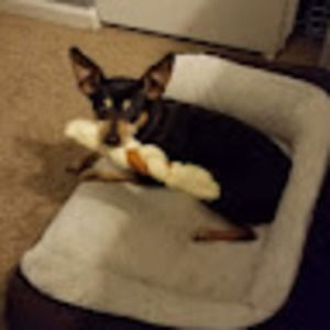 Meet your Posher, Steven